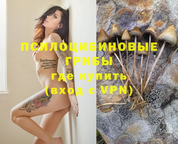 крисы Абдулино