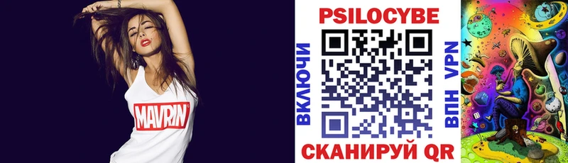 Галлюциногенные грибы Psilocybe где найти наркотики Мамадыш
